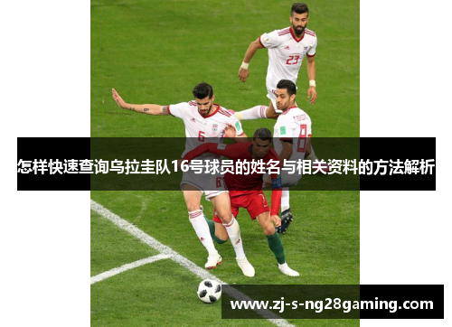 怎样快速查询乌拉圭队16号球员的姓名与相关资料的方法解析