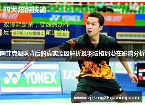 陶菲克退队背后的真实原因解析及羽坛格局潜在影响分析