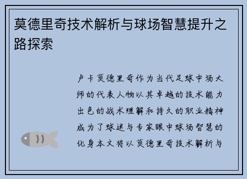 莫德里奇技术解析与球场智慧提升之路探索 莫德里奇技术解析与球场智慧提升之路探索