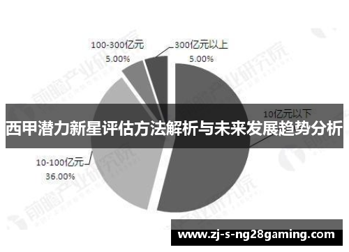 西甲潜力新星评估方法解析与未来发展趋势分析