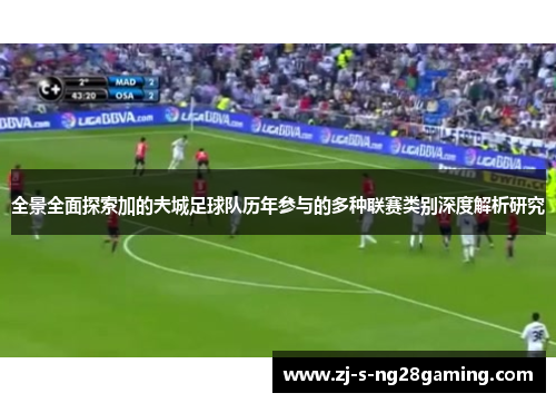 全景全面探索加的夫城足球队历年参与的多种联赛类别深度解析研究